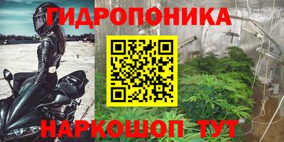 стафф Татарск