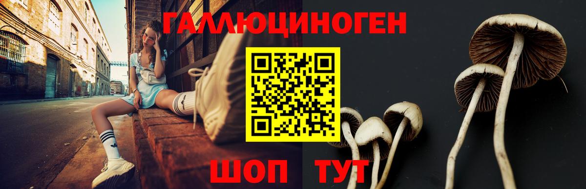Ливны  где купить наркотик  Вход с VPN  Псилоцибиновые грибы прущие грибы 